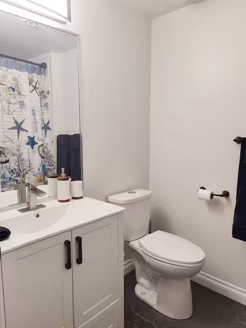 Ski Chalet Renovation project photo